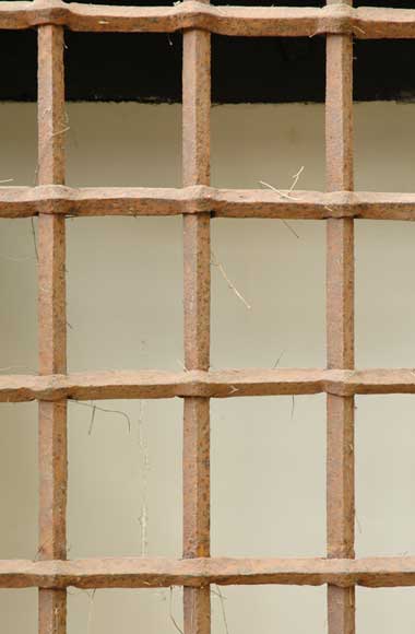 Защитная решетка Защитная решетка-1