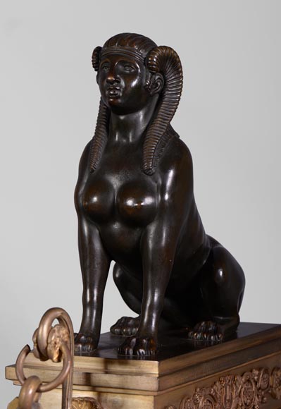 Пара дровниц в стиле Ампир из позолоченной бронзы и бронзы с коричневой патиной, украшенных женщинами-сфинксами. Пара дровниц в стиле Ампир из позолоченной бронзы и бронзы с коричневой патиной, украшенных женщинами-сфинксами.-5