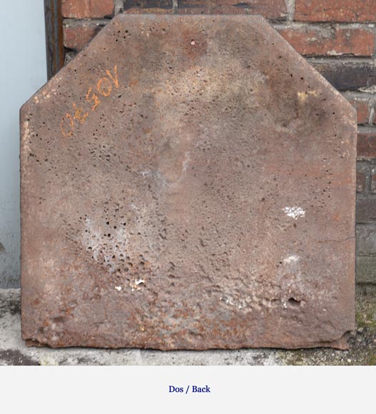 Старинная каминная плита 18 века, украшенная гербами семьи Фонтен де Бире. Старинная каминная плита 18 века, украшенная гербами семьи Фонтен де Бире.-6