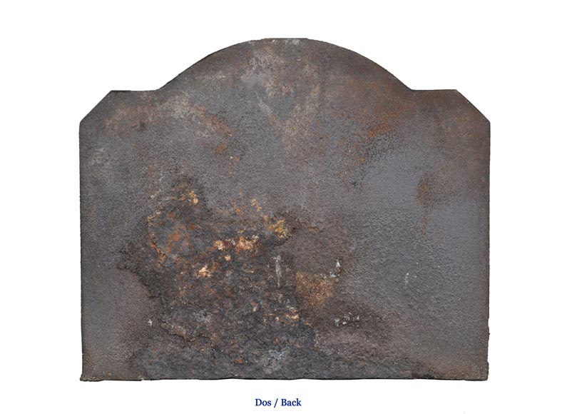 Каминная плита, украшенная Саламандрой Франциска I. Каминная плита, украшенная Саламандрой Франциска I.-4