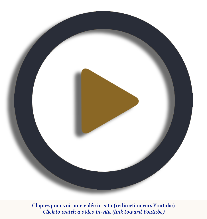 Galerie Marc Maison Youtube Vidéo play icon