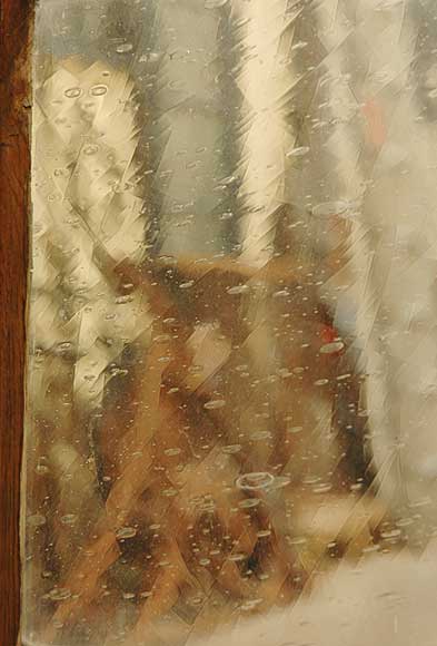 Витражи с белками. Витражи с белками.-8