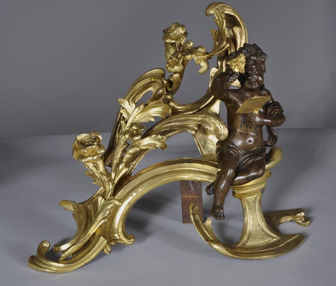Красивая пара старинных дровниц эпохи Людовика XV, украшенных аллегориями Лета, изготовленных из позолоченной бронзы и бронзы с коричневой патиной.-4