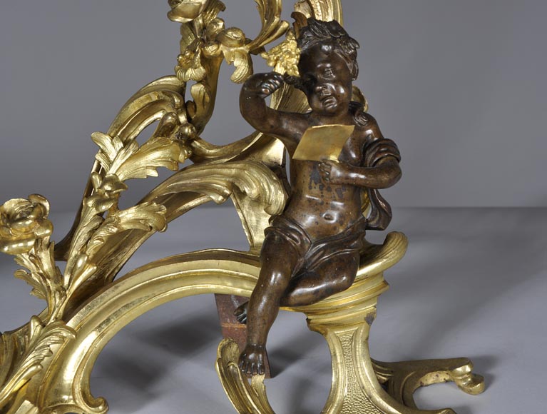 Красивая пара старинных дровниц эпохи Людовика XV, украшенных аллегориями Лета, изготовленных из позолоченной бронзы и бронзы с коричневой патиной.-5