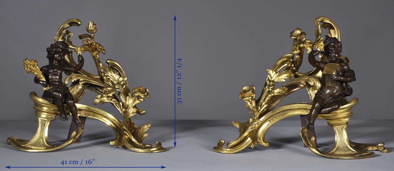 Красивая пара старинных дровниц эпохи Людовика XV, украшенных аллегориями Лета, изготовленных из позолоченной бронзы и бронзы с коричневой патиной.-8