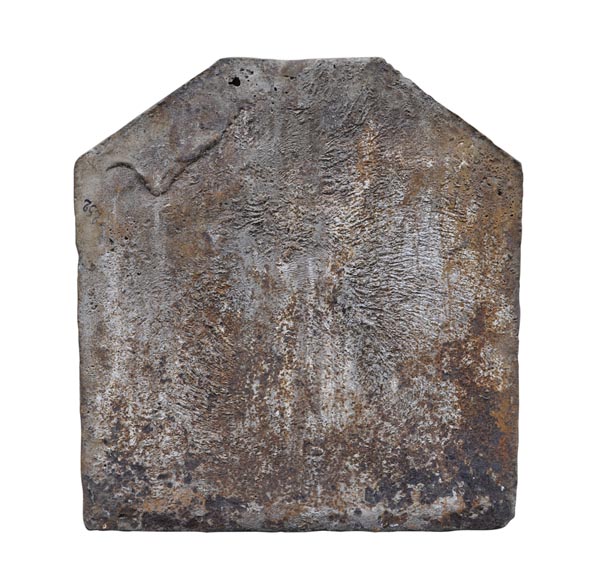 Красивая старинная каминная плита 18 века, украшенная гербами Франции и Наварры.-6