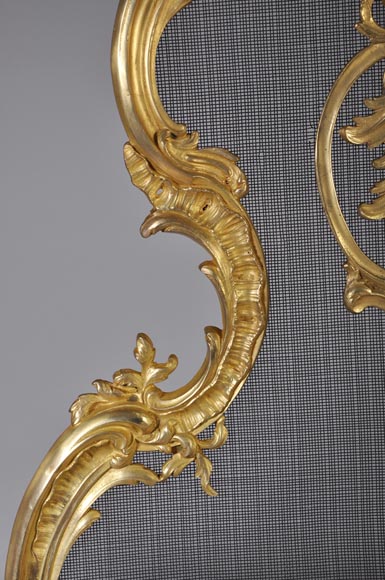 Старинный защитный экран камина в стиле Людовика XV, изготовленный из позолоченной бронзы, украшенный лиственными и цветочными орнаментами.-3