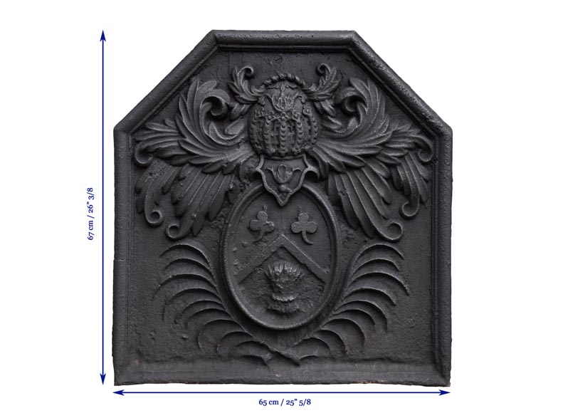 Старинная каминная плита 18 века, украшенная гербами семьи Фонтен де Бире.-8