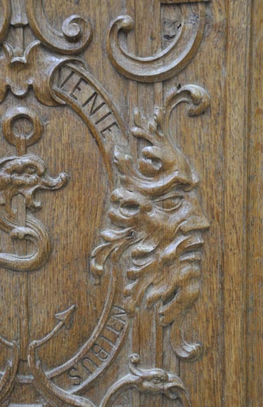 «Ложная пара» старинных дверей из скульптурного дубового дерева 19 века.-2