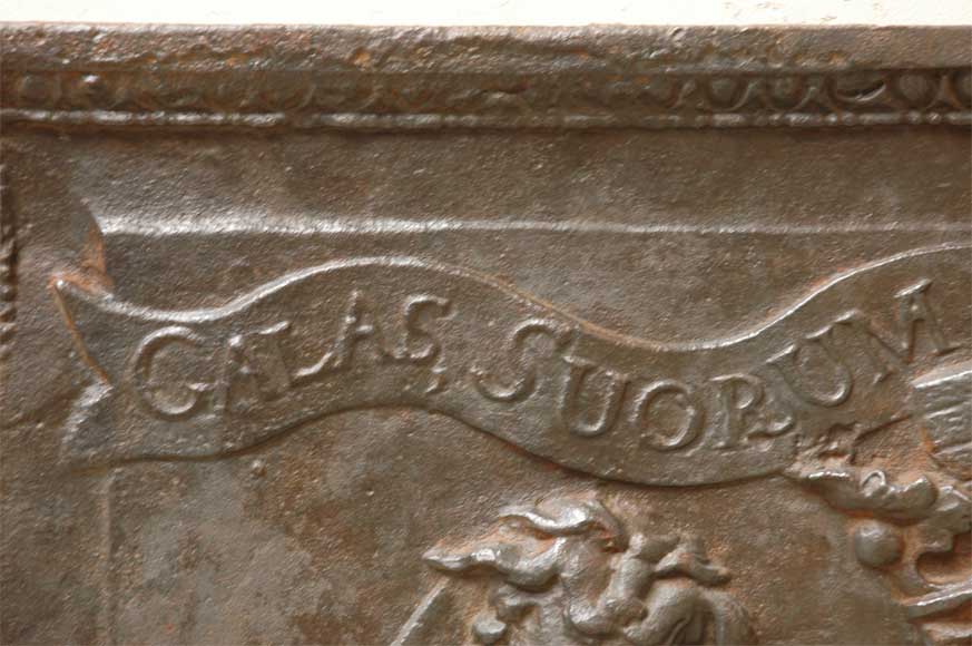 Старинная каминная плита, декорированная гербами семьи де Жаннель де Бельваль (de Jannel de Belval).-5